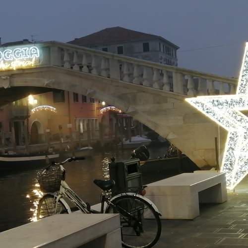 Photo #5893501