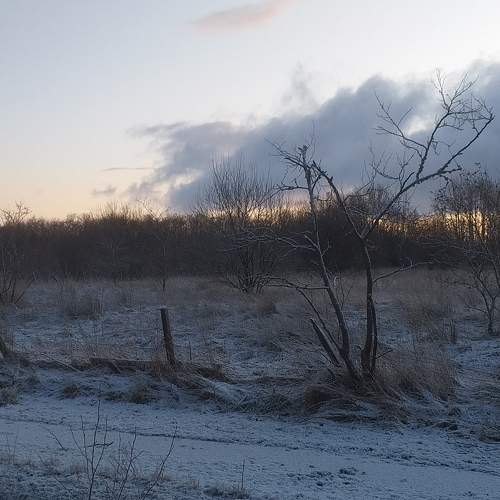 Winter Desolation