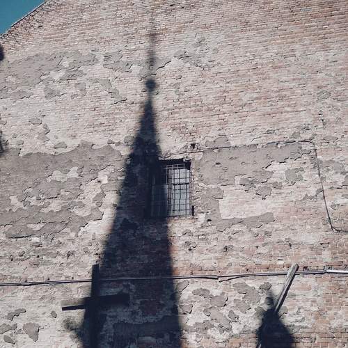 Photo #5893584