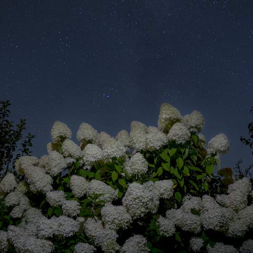 Photo #5893657