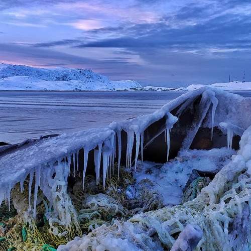 Баренцево