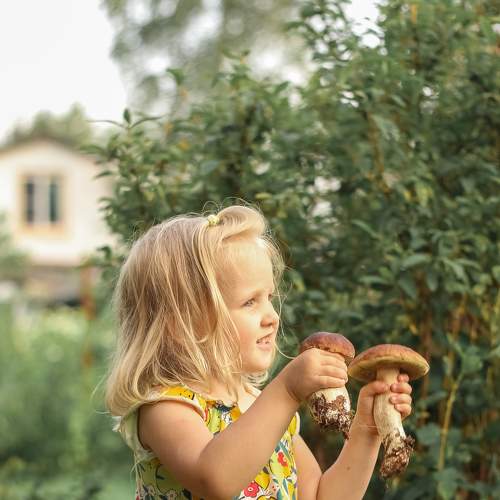 Photo #5893851