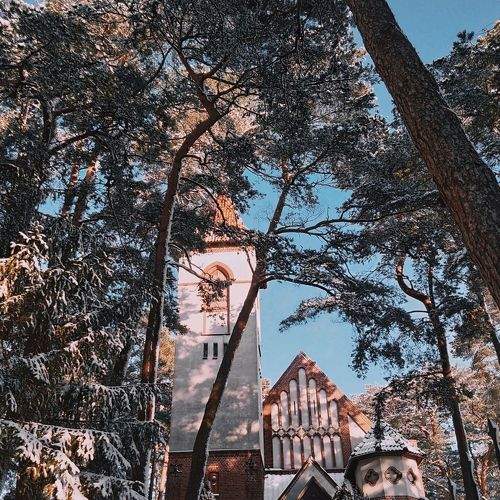 Photo #5893916
