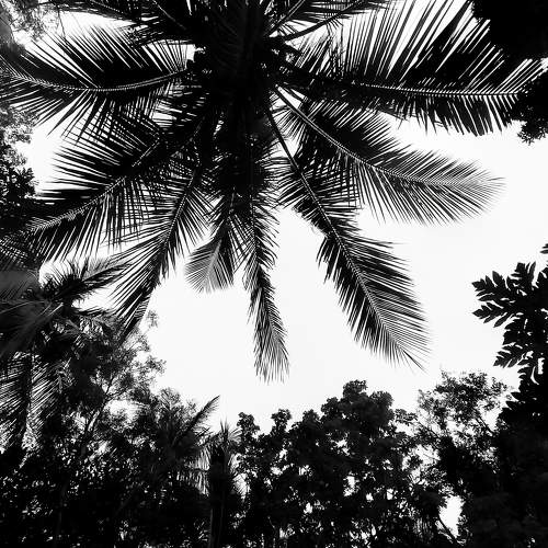 Photo #5893959