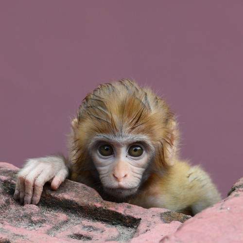 Photo #5893995