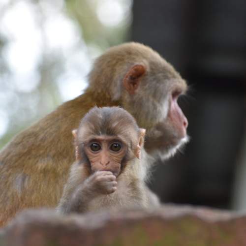 Photo #5894028