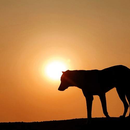 Photo #5894049