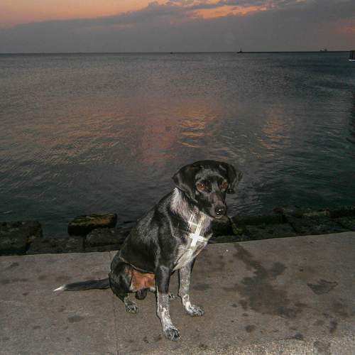Photo #5894075