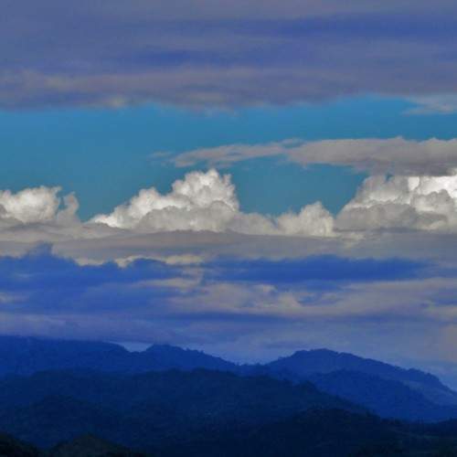 Photo #5894086