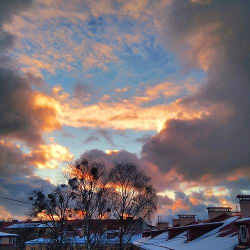 Photo #5894113