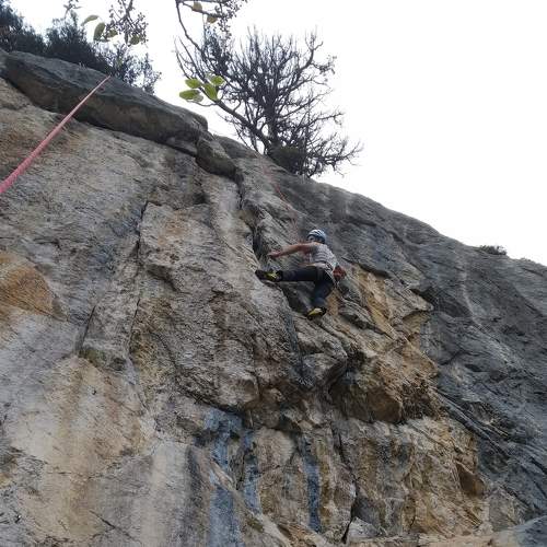 Photo #5894173