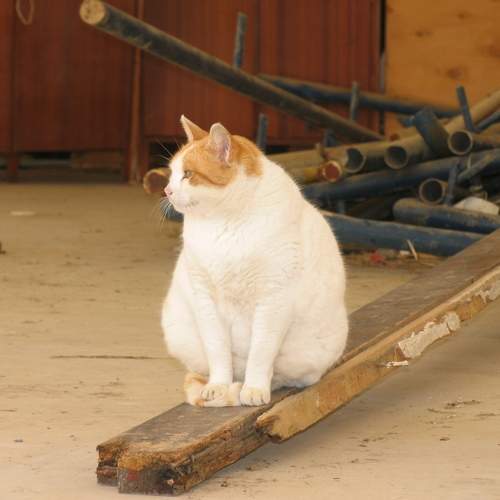 Photo #5894187