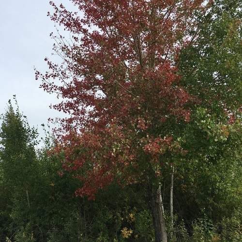 Photo #5894232