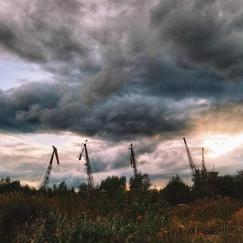 Photo #5894447