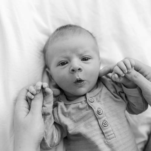 Photo #5894516
