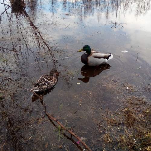 Photo #5894598