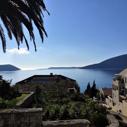 Photo #5894604