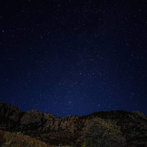 Photo #5894665