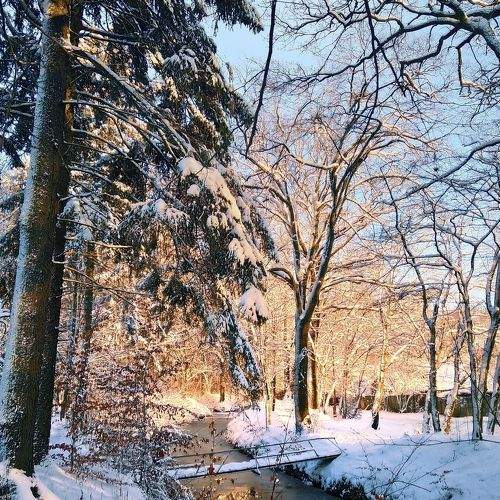 Photo #5894825