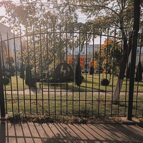 Photo #5895088