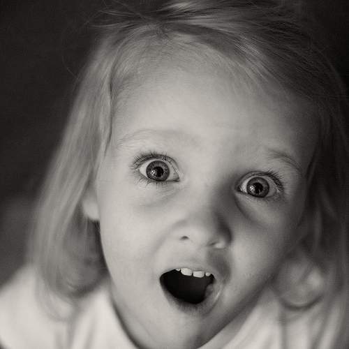 Photo #5895204