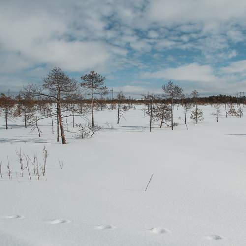 Photo #5895398