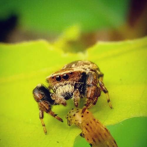 Photo #5895569