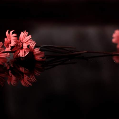 Photo #5895819
