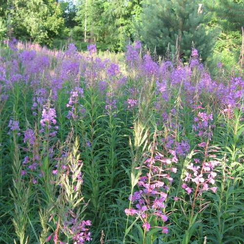 Photo #5895834