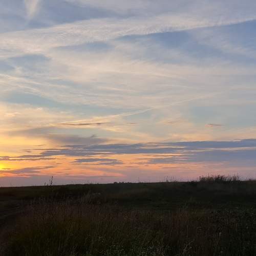 Photo #5895856