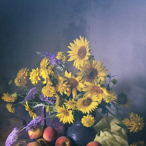 Photo #5896424