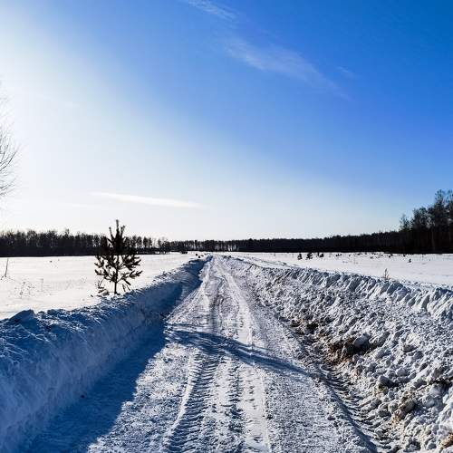 Photo #5896459