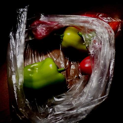 Photo #5896549