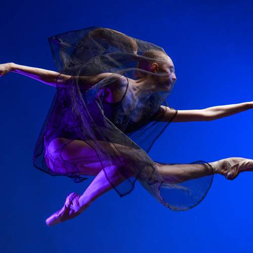 Photo #5896994