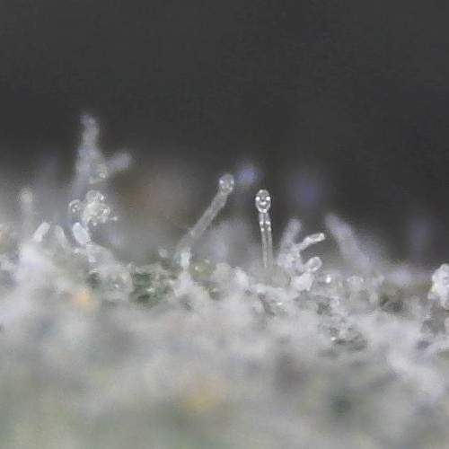 Photo #5897091