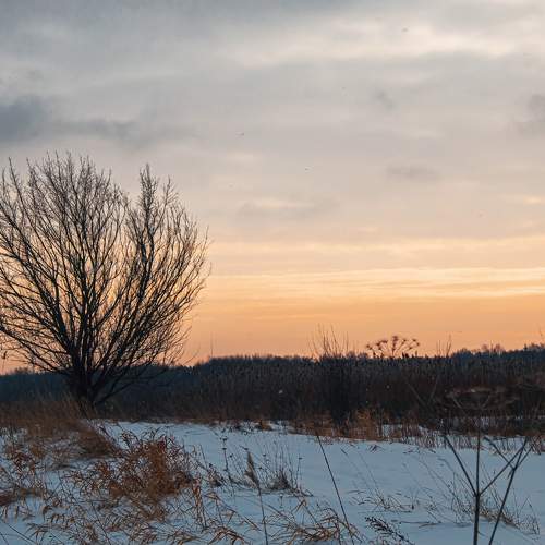 Photo #5897190