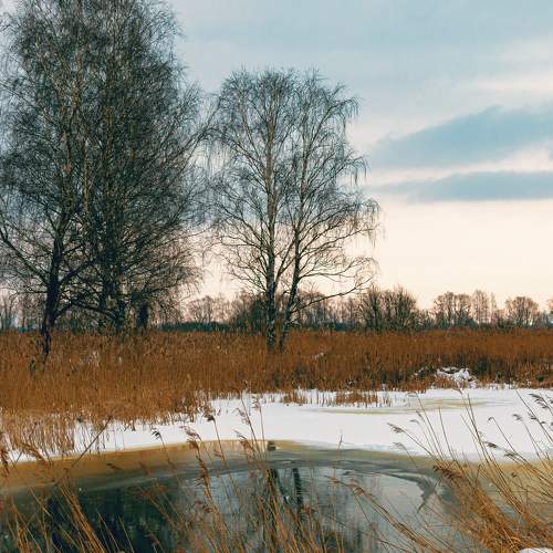 Photo #5897207