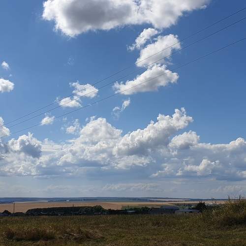 Photo #5897241