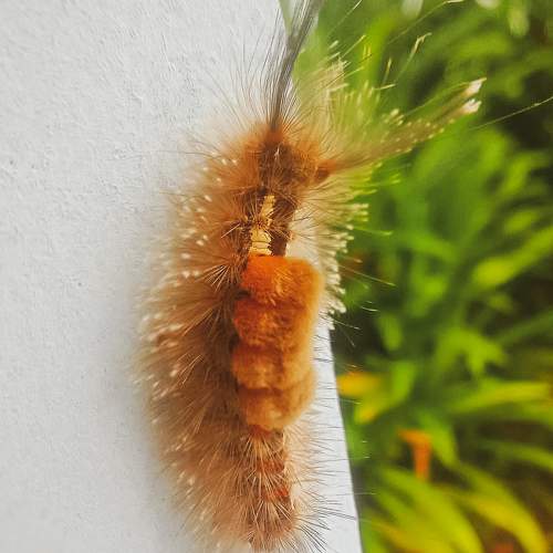 Photo #5897517