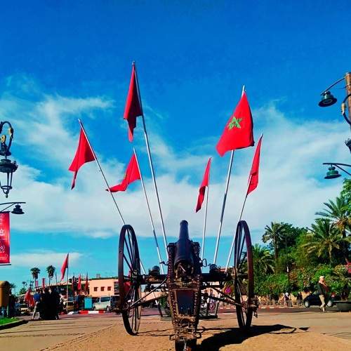 Photo #5897541