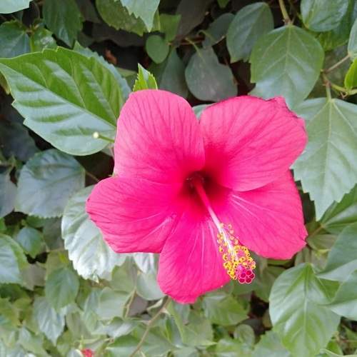 Photo #5897706