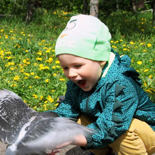 Photo #5897747
