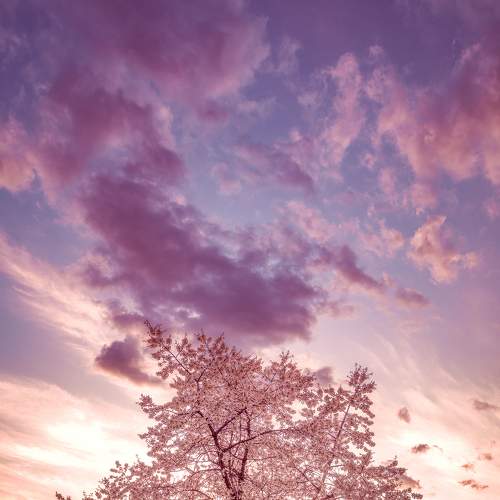 Photo #5897793