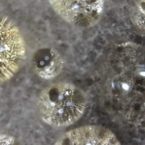 Photo #5898066