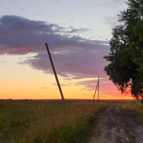 Photo #5898527