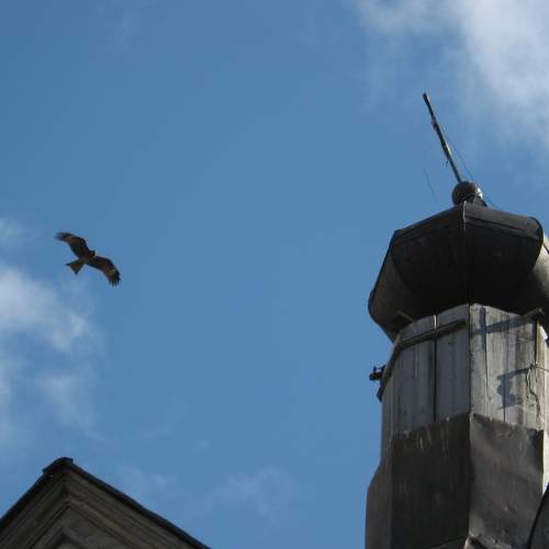 Photo #5898668