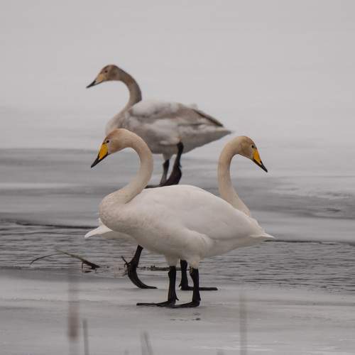 Photo #5898867