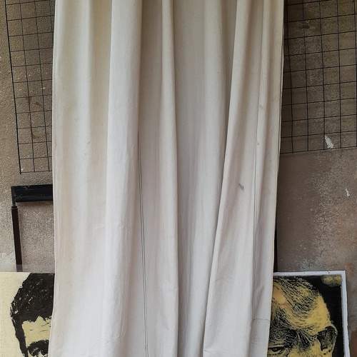 Photo #5899013