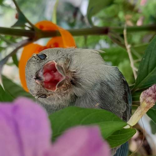 Photo #5899079