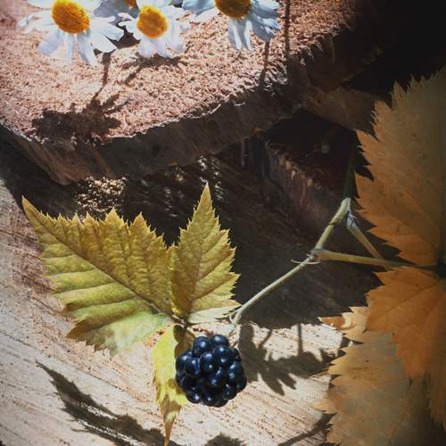 Photo #5899100